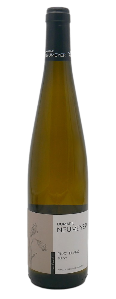 Pinot blanc Tulipe 2022