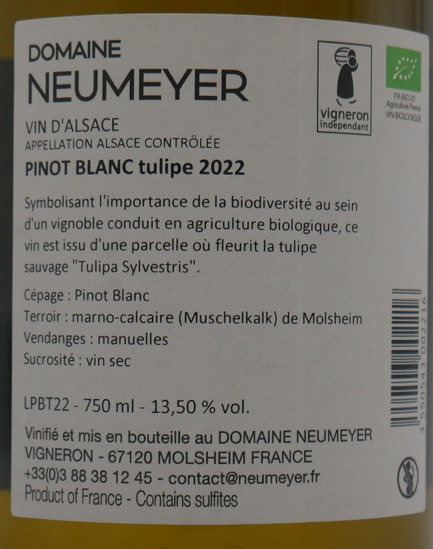 Pinot blanc Tulipe 2022