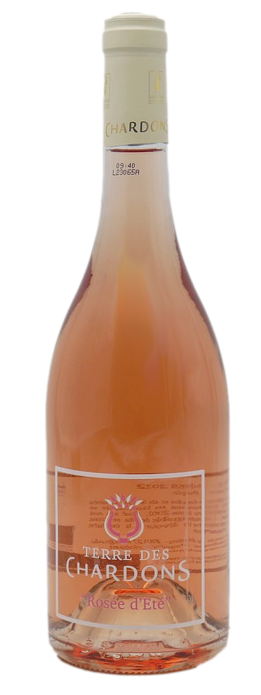 Rosée d'été 2023