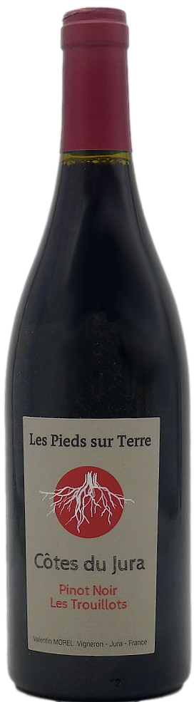 pinot Noir les trouillots - Valentin Morel
