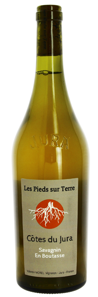 Savagnin En Boutasse 2023 (Macération) - Côtes du Jura - Valentin Morel