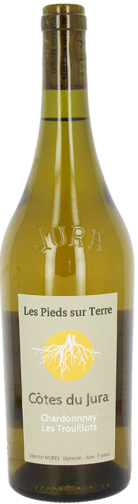 Chardonnay Les Trouillots 2022 | Domaine Morel