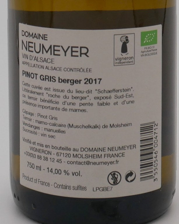 Pinot gris Berger 2019
