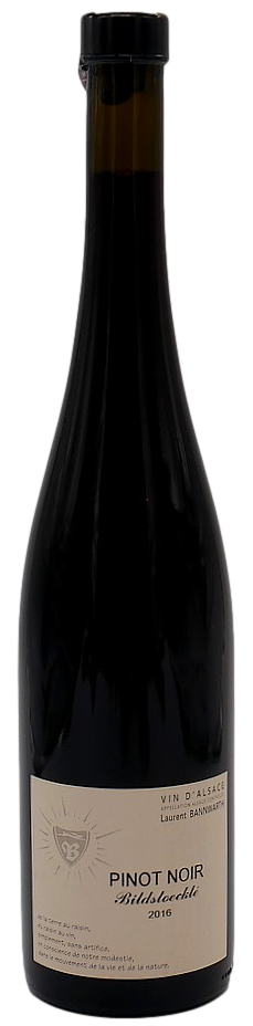 Pinot Noir Bildstoecklé 2017