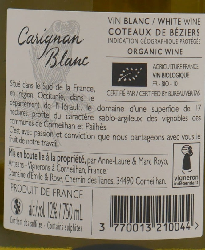 Carignan Blanc 2022 Amphore